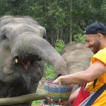 Un DÃ­a Elefante interacciÃ³n en Blue Tao + Bamboo rafting + Cascada Mae Tien.