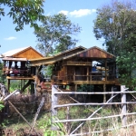 2 Day Luxury Treehouse Good View Chiang Mai + Elephant Large Waterfall Hiking + Rafting 