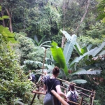 Full Day Doi Inthanon Hiking + Hill Tribe Village + Treehouse + Elephant Waterfall Hiking