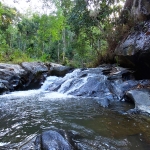 Half Day Afternoon Elephant Sanctuary Tour at Blue Tao Elephant Village, Jungle Waterfall Hiking
