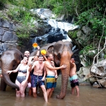 Full Day Elephant Expedition in Blue Tao Jungle, Large Waterfall Hiking, Bamboo Rafting