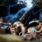 All Day Elephant Sanctuary Tour Chiang Mai at Blue Tao Elephant Village, Large Waterfall Hiking