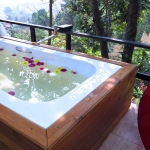 2 Day Luxury Treehouse Good View Chiang Mai + Elephant Large Waterfall Hiking + Rafting 