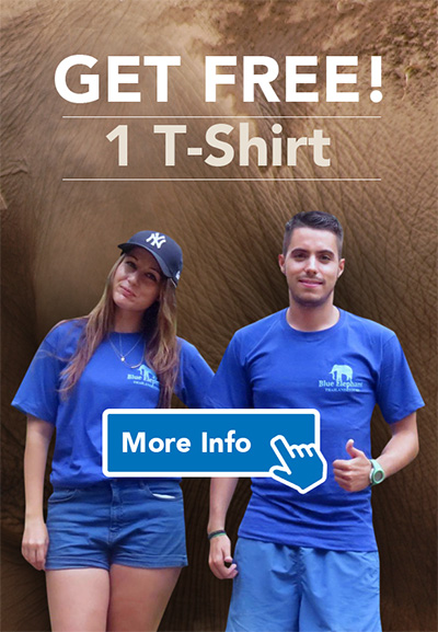 T-shirt Blue Elephant Thailand Tours