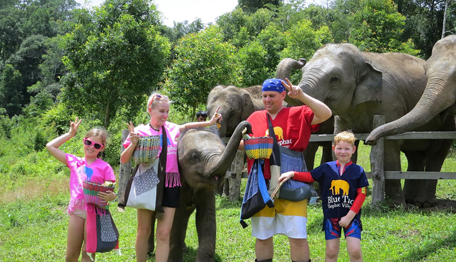 Blue Tao Elephant Village Elephant tours Chiang Mai, Thailand