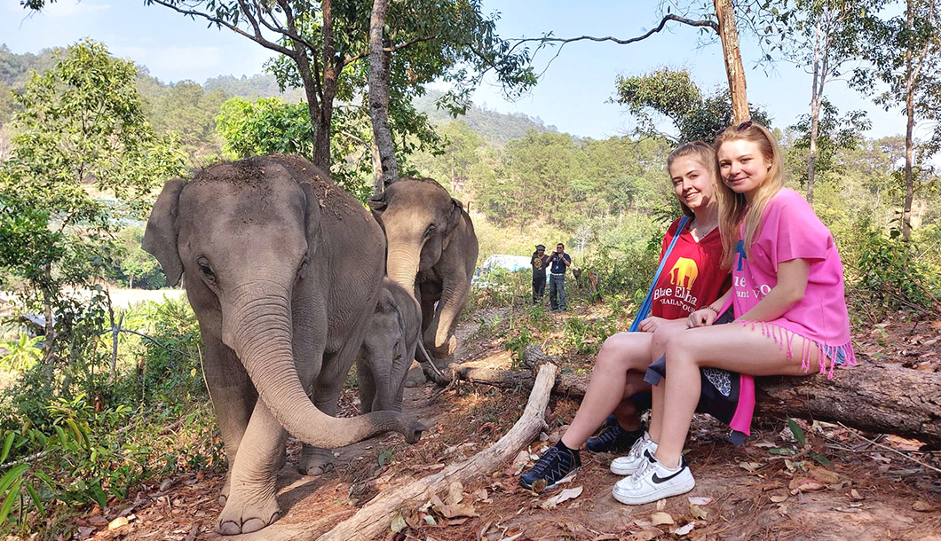 Blue Tao Elephant Village Elephant tours Chiang Mai, Thailand