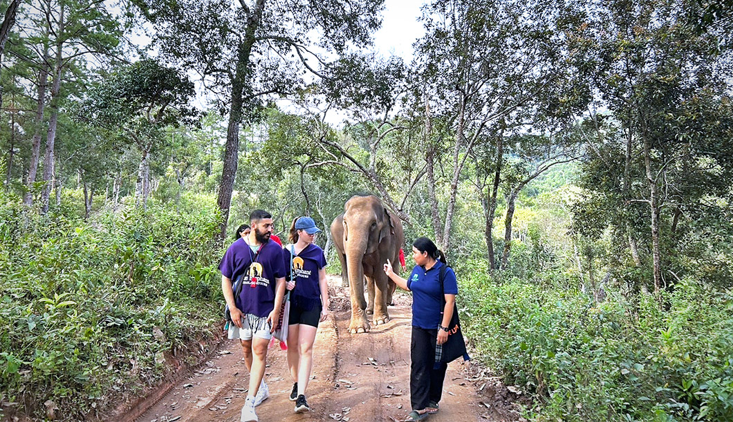 Blue Tao Elephant Village Elephant tours Chiang Mai, Thailand