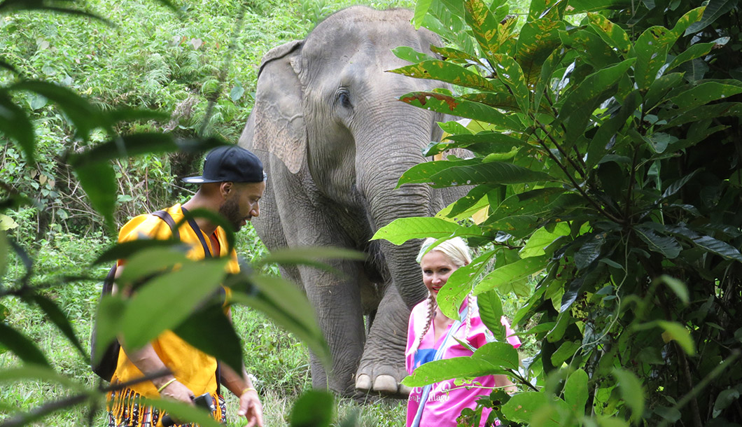 Blue Tao Elephant Village Elephant tours Chiang Mai, Thailand