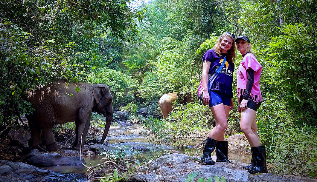 Blue Tao Elephant Village Elephant tours Chiang Mai, Thailand