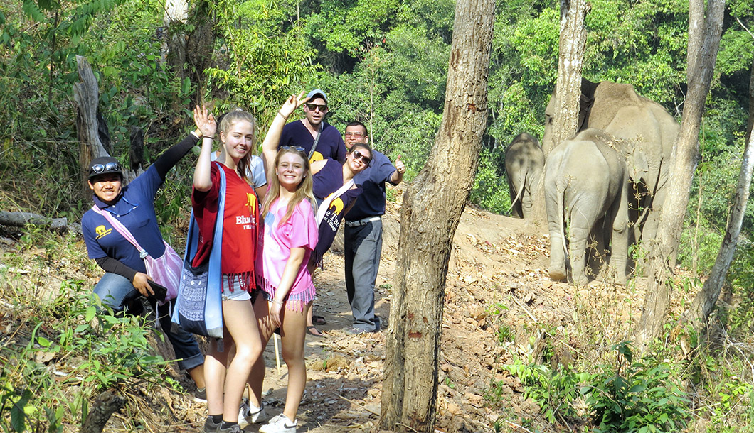 Blue Tao Elephant Village Elephant tours Chiang Mai, Thailand