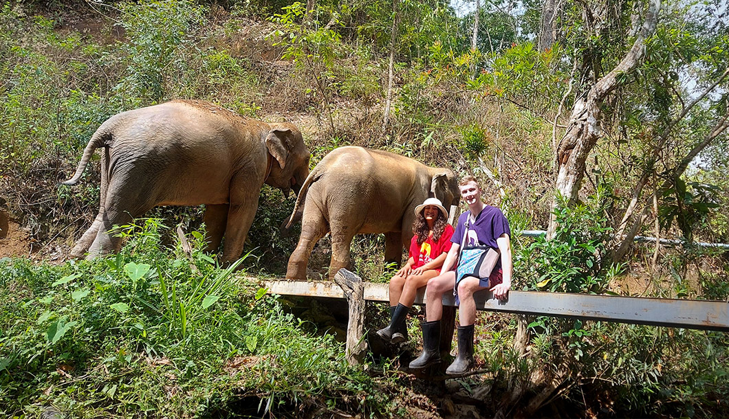 Blue Tao Elephant Village Elephant tours Chiang Mai, Thailand