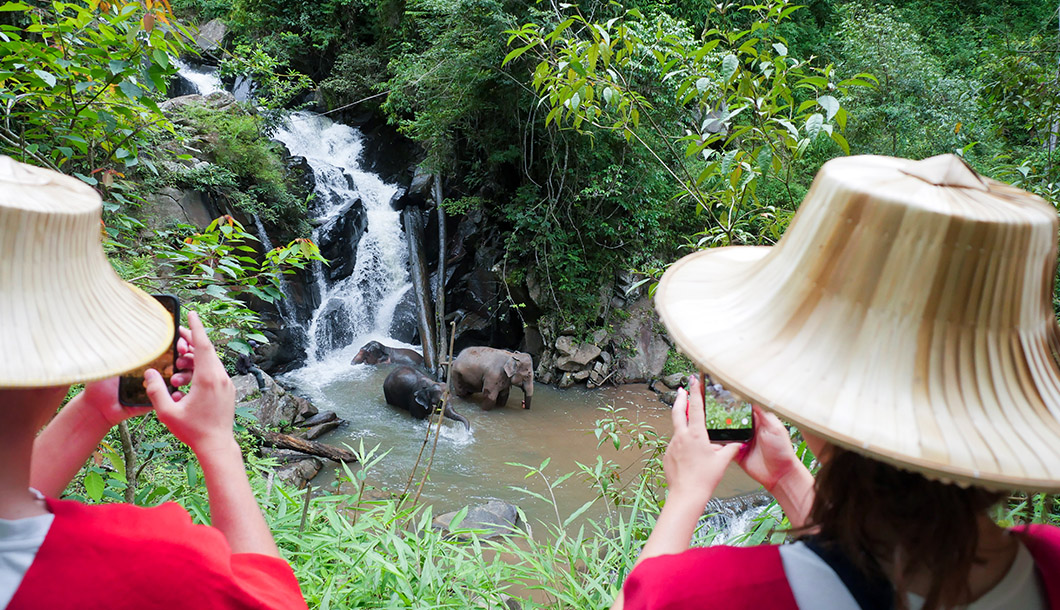 Blue Tao Elephant Village Elephant tours Chiang Mai, Thailand