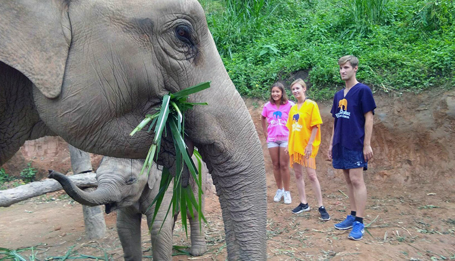 Blue Elephant Thailand Tours Chiang Mai, learn to be an elephant keeper ...