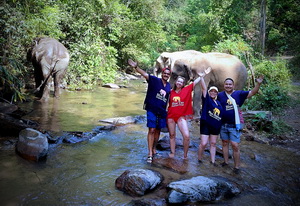 chiang mai elephant tours gallery