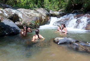 chiang mai elephant tours gallery