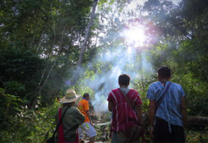 chiang mai elephant tours gallery