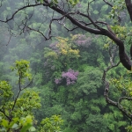 All Day Elephant Care Large Waterfall Walk in Blue Tao, Lunch In Treehouse Above Waterfall