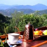 Full Day Doi Inthanon +Kew Mae Pan Nature Trail +Elephant Waterfall Walk +Lunch Treehouse