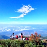 Full Day Doi Inthanon +Kew Mae Pan Nature Trail +Elephant Waterfall Walk +Lunch Treehouse