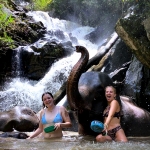 All Day Elephant Sanctuary Tour Chiang Mai, Large Waterfall Walk at Blue Tao Elephant Village