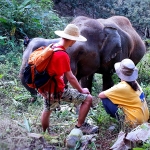 Full Day Tour Chiang Mai Kingkong Smile Zipline + Sticky Waterfalls + Elephant Care