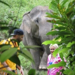 3 Day More than just Treehouse Good View, Doi Inthanon, Doi Suthep, Elephant, Cave, Hill Tribe