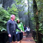 Doi Inthanon Half Day Tour with Romantic Lunch, Dinner in Treehouse Good View