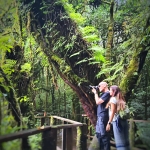 Private Mae Ya Waterfall Doi Inthanon, 2 Waterfalls walk with elephants, Luxury Treetop Dining 