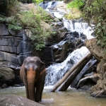 All Day Elephant Care Large Waterfall Walk in Blue Tao, Lunch In Treehouse Above Waterfall