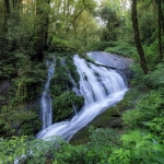 Private Kew Mae Pan Trail Doi Inthanon, 2 Waterfalls walk with elephants, Luxury Treetop Dining 