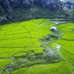 Half Day Afternoon Elephant Sanctuary Tour, Go Waterfall Trail at Blue Tao Elephant Village