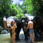 2 Day The Whimsical Chiang Mai Treehouse Good View, Elephant, Zipline, Rafting, Cave, Waterfall