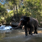 2 Day Chiang Mai Authentic Hill Tribe Village, Elephant Sanctuary, Waterfall, Rafting, Big Buddha