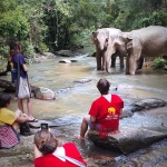 Half Day Afternoon Elephant Sanctuary Tour, Go Waterfall Trail at Blue Tao Elephant Village