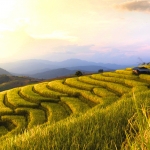 Pa Pong Piang Rice Terraces Tour and Ethical Elephant Sanctuary, Doi Inthanon Park