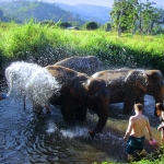 Full Day Tour Chiang Mai Kingkong Smile Zipline + Sticky Waterfalls + Elephant Care