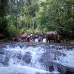 Half Day Afternoon Elephant Sanctuary Tour, Go Waterfall Trail at Blue Tao Elephant Village