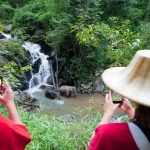 Half Day Morning Ethical Elephant Hands off, 3 Waterfalls Walk with Elephants at Blue Tao