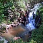 Full Day Chiang Mai Rainbow Cave Tour, Elephant Walk Large Waterfall, Bamboo Rafting