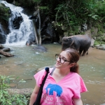 Full Day Triple Acts: Ethical Elephant Care, 3 Waterfalls Walk with Elephants, Bamboo Rafting 