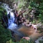All Day Elephant Care Large Waterfall Walk in Blue Tao, Lunch In Treehouse Above Waterfall