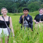 Half Day Afternoon Ethical Elephant Hands off,  2 Waterfalls Walk with Elephants at Blue Tao