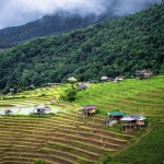 Pa Pong Piang Rice Terraces Tour Doi Inthanon, 3 Waterfalls walk with Elephants