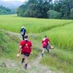 Full Day Sticky Waterfall and Ethical Elephant Sanctuary Tour, 2 Waterfalls Walk with Elephants