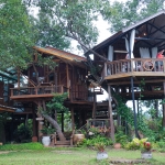 2 Day The Whimsical Treehouse Good View, Elephant, Zipline, Rafting, Sticky Waterfall