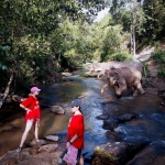 All Day Elephant Sanctuary Tour Chiang Mai, Large Waterfall Walk at Blue Tao Elephant Village