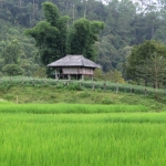 2 Day Chiang Mai Authentic Hill Tribe Village, Elephant Sanctuary, Waterfall, Rafting, Big Buddha