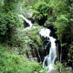 Full Day Triple Acts: Ethical Elephant Care, 3 Waterfalls Walk with Elephants, Bamboo Rafting 