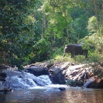 Half Day Morning Elephant Sanctuary Tour, Waterfall Trail at Blue Tao, Ethical and Hands-off