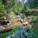 All Day Elephant Sanctuary Tour Chiang Mai, Large Waterfall Walk at Blue Tao Elephant Village